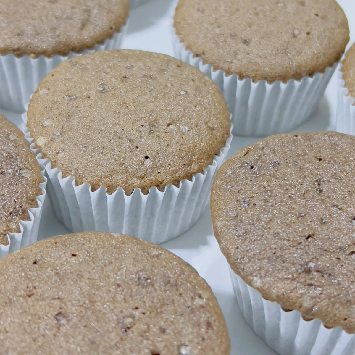Plain Cup Cakes