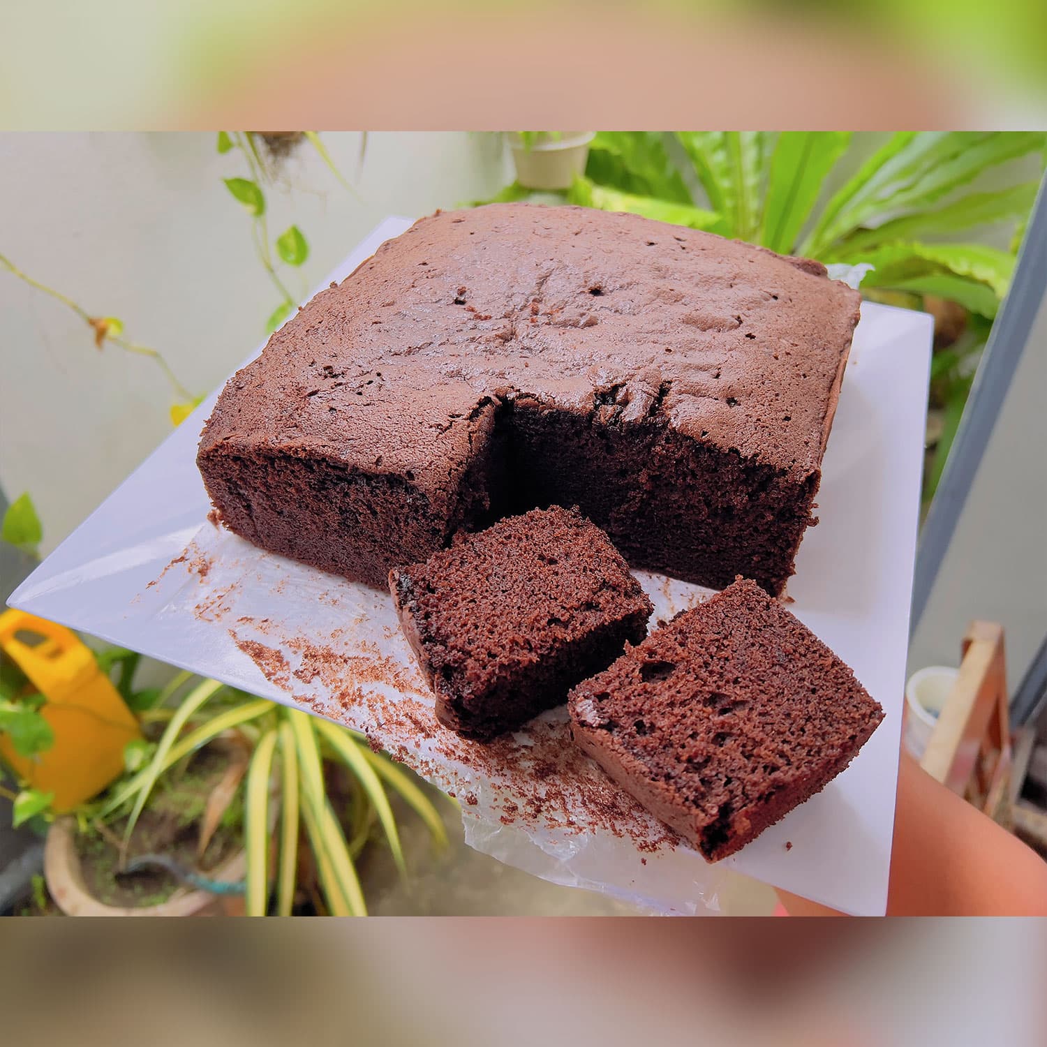 Chocolate Cake Piece — image 3