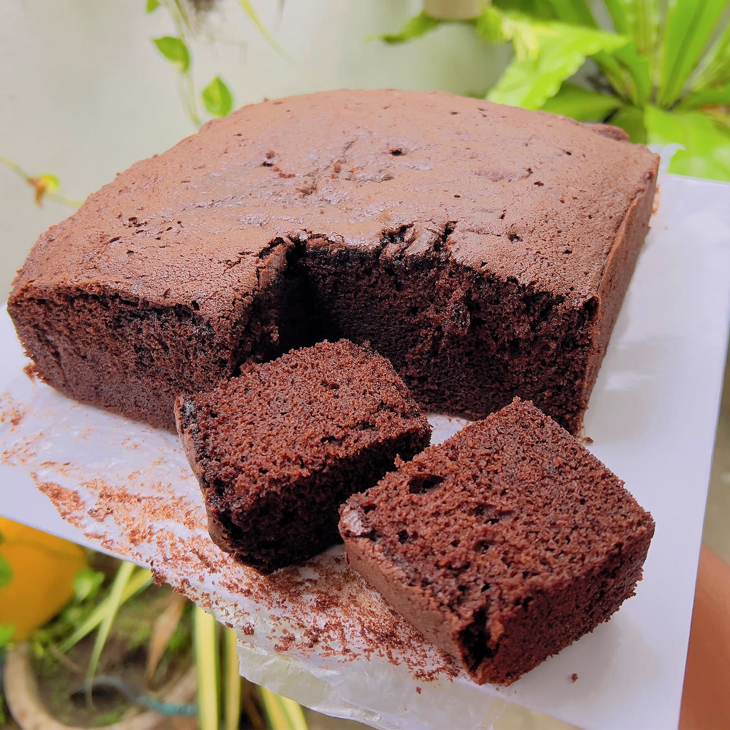Chocolate Cake Piece