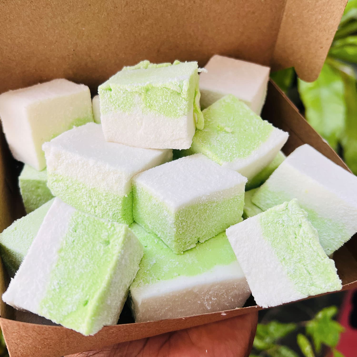 Home made Green Marshmallow